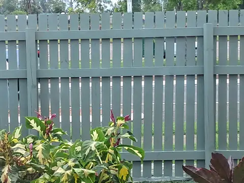 A timber fence and gate freshly painted sage green